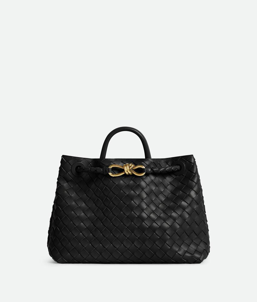 Bottega Veneta Small Andiamo