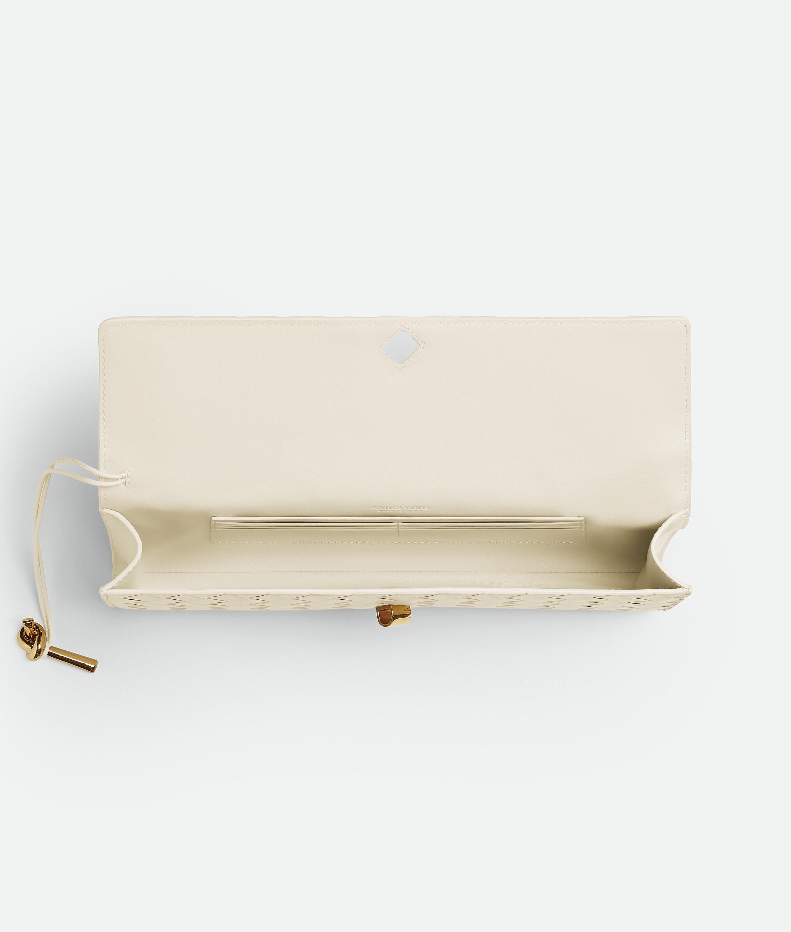 Bottega Veneta Andiamo Clutch