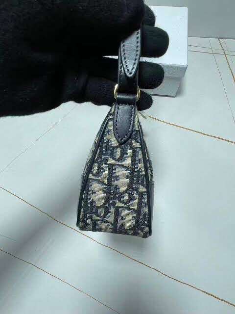 DIOR 30 Montaigne Wanderlust Mini Bag